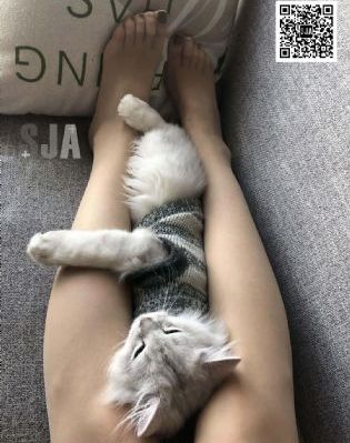 韩国伦理片在线
